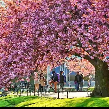 Lille Ovregate شقة *