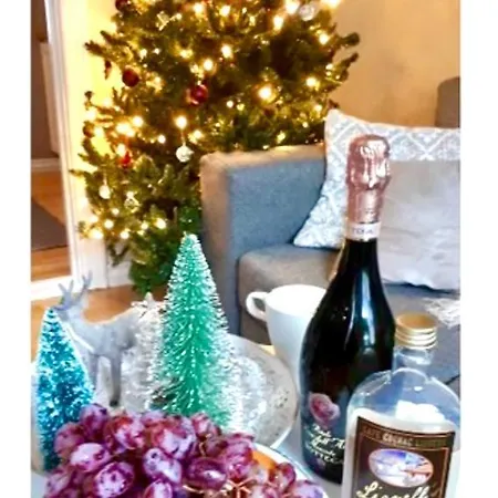 شقة Lille Ovregate *